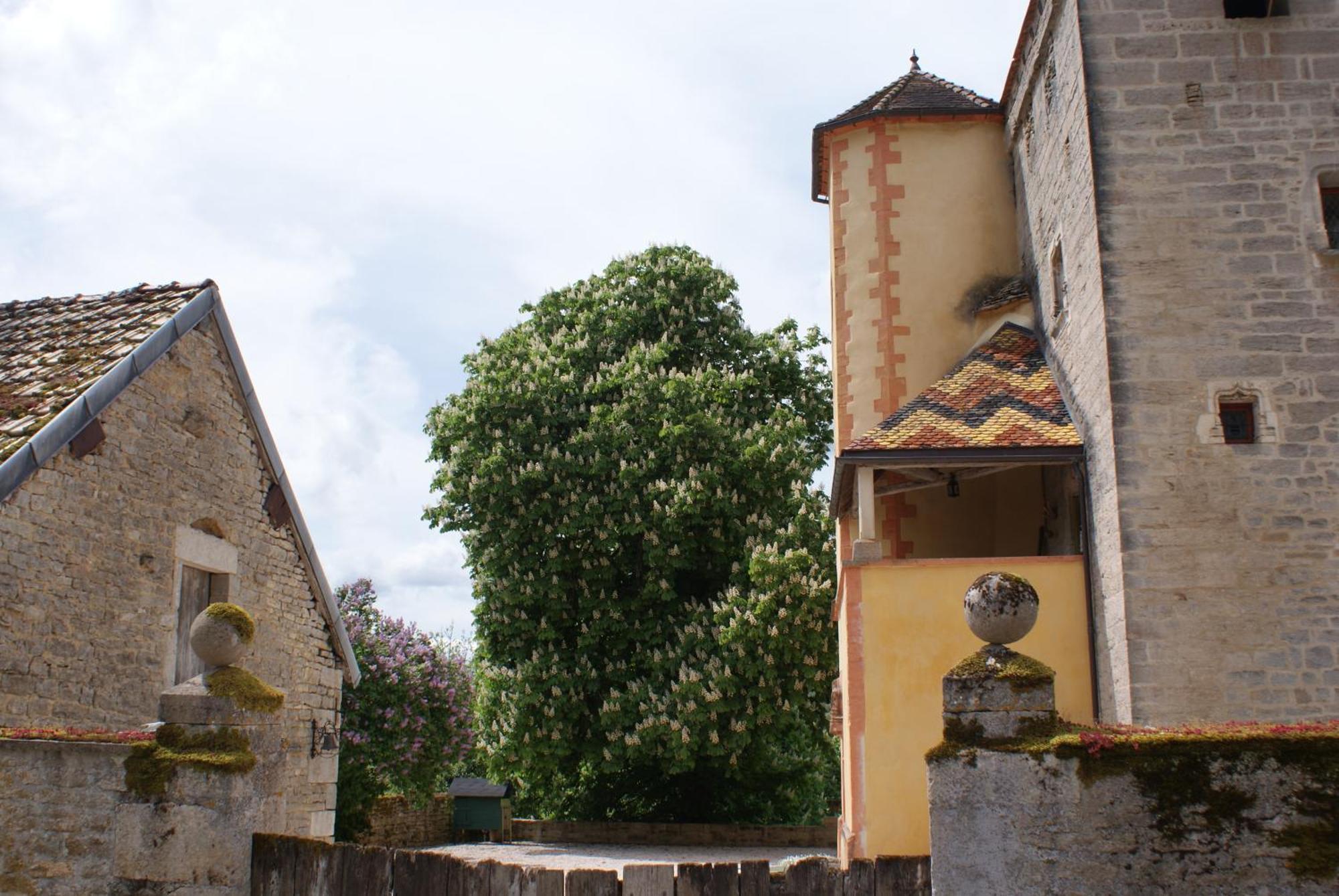 Chateau De Champrenault, Voyagez Dans Le Temps Eksteriør billede