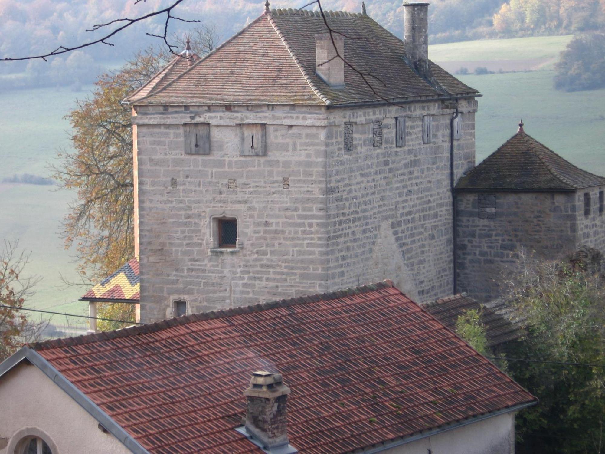 Chateau De Champrenault, Voyagez Dans Le Temps Eksteriør billede